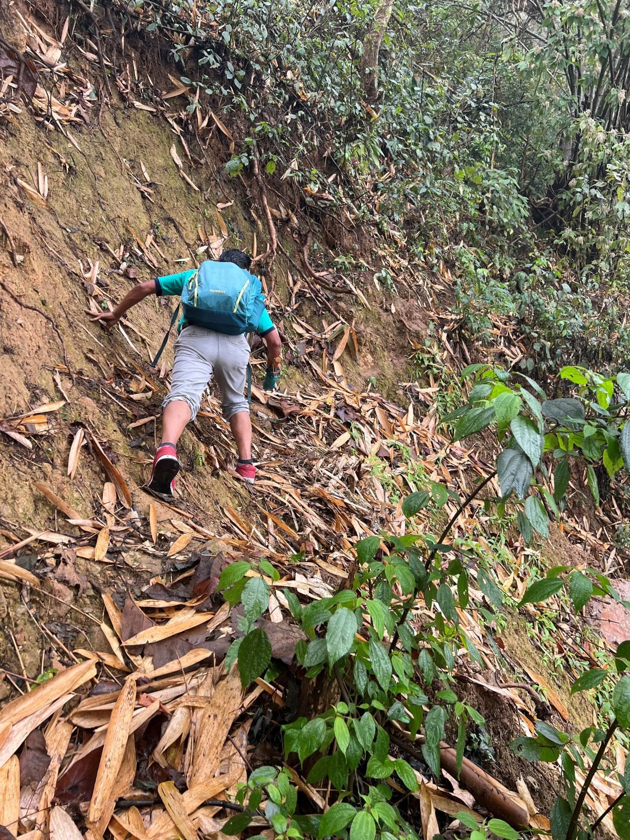A mid-hike pause under clearing skies—sweat-drenched but smiling. The trail still steep, yet the stride more confident. What began in rain now unfolds under sun, every uphill step etched with earned ease.