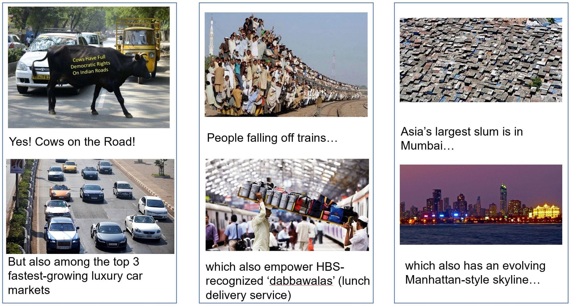 India traffic cows slum