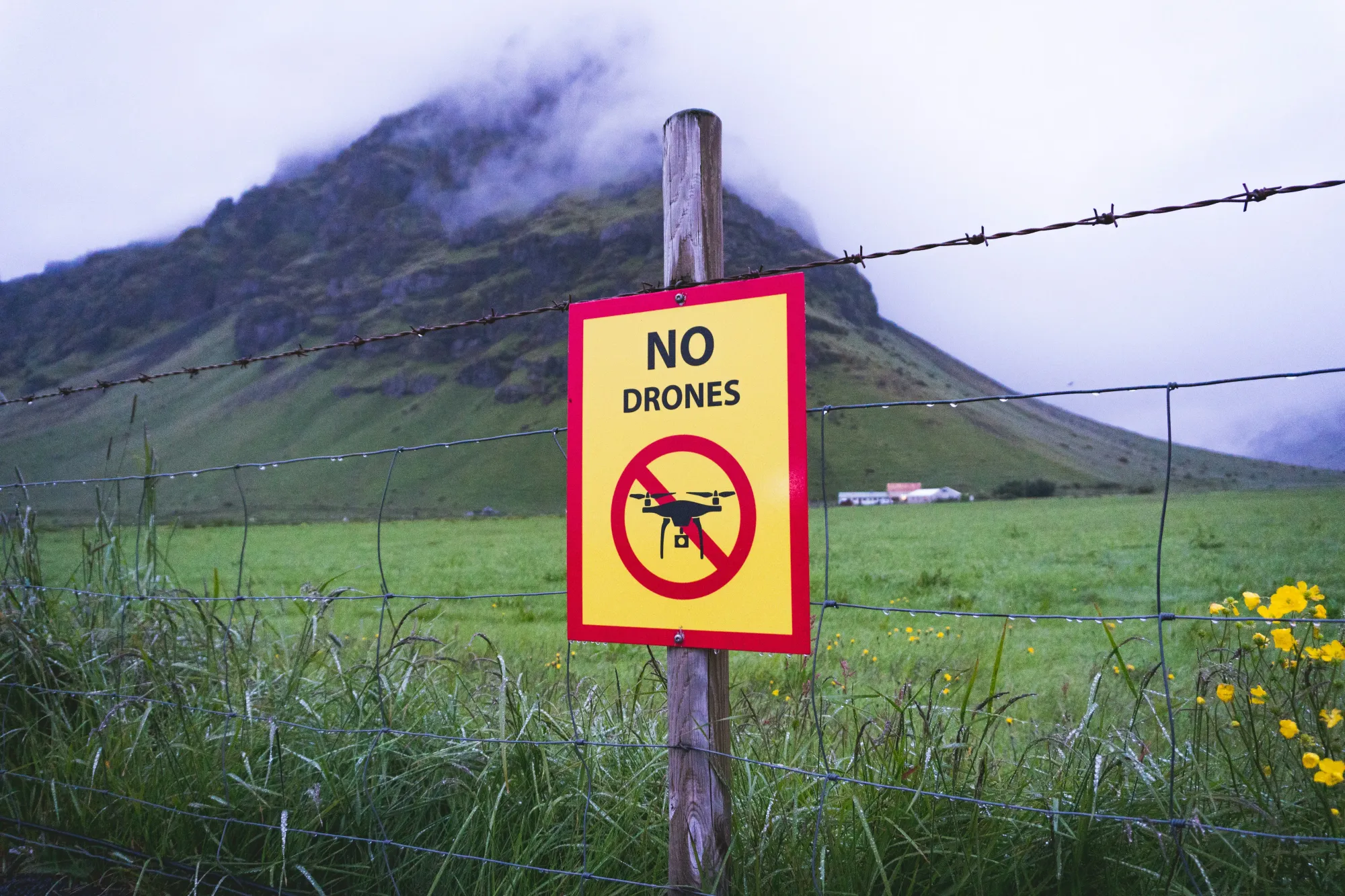 Work From Anywhere nullifies archaic immigration laws